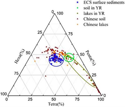 Source Identification of brGDGTs in the Surface Sediments of the East China Sea